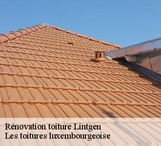Obtenez le devis de rénovation de toiture à Les toitures luxembourgeoise  