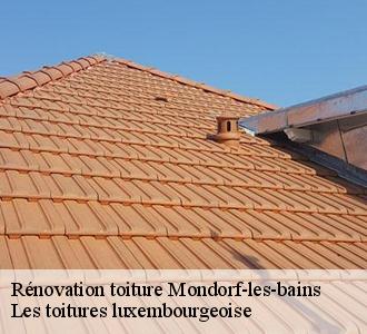 Pour une rénovation de toiture réussie, fiez-vous à l’artisan couvreur Les toitures luxembourgeoise