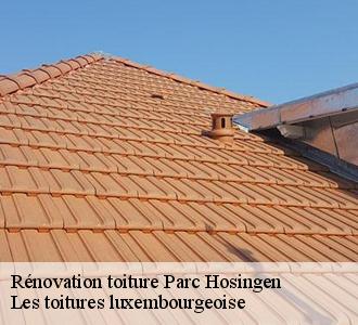 Pour vous travaux de rénovation de toiture, fiez-vous à l’entreprise Les toitures luxembourgeoise 