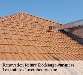 Travaux de rénovation de toiture à Reckange-sur-mess, pourquoi les confier à Les toitures luxembourgeoise 