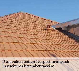 À qui s’adresser pour un projet de rénovation de toiture à Rosport-mompach, dans le ?