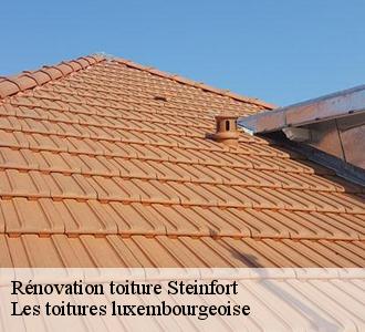 Rénovation de toiture à Steinfort, dans le : le couvreur Les toitures luxembourgeoise vous assure une prestation de qualité