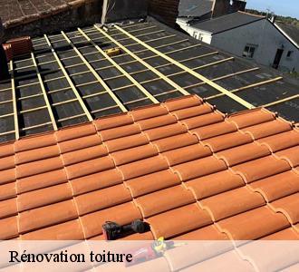 Travaux de rénovation de toiture à Steinfort, pourquoi les confier à Les toitures luxembourgeoise