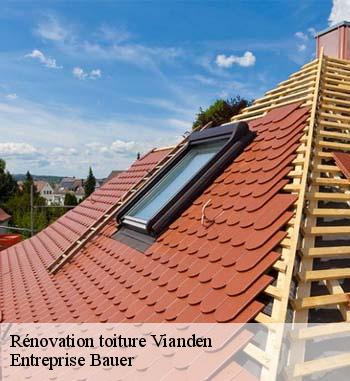 Pour des travaux de rénovation de toiture dans les règles de l’art, Entreprise Bauer est recommandé pour vous à Vianden, 