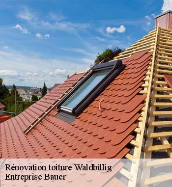 Entreprise Bauer, un couvreur de confiance pour la rénovation de votre toiture à Waldbillig