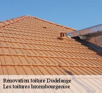 Pour une rénovation de toiture réussie, fiez-vous à l’artisan couvreur Les toitures luxembourgeoise