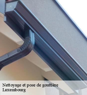 Les toitures luxembourgeoise : l’expert en pose gouttière