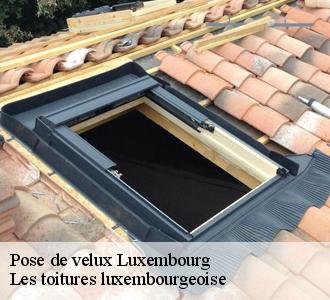 Pourquoi choisir le velux ?