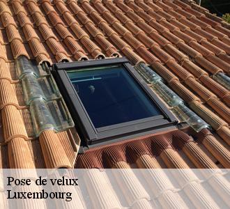 Pourquoi choisir couvreur Les toitures luxembourgeoise pour la pose de vos velux ?