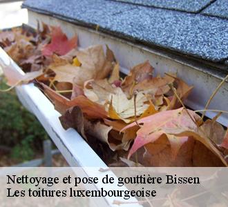 Quel type de gouttières choisir ?