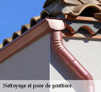 Solliciter le service de Les toitures luxembourgeoise  : un atout