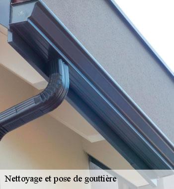 Nettoyage et pose gouttières à Colmar-berg