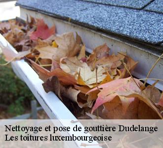 Quel type de gouttières choisir ?