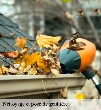 Nettoyage et pose gouttières à Erpeldange