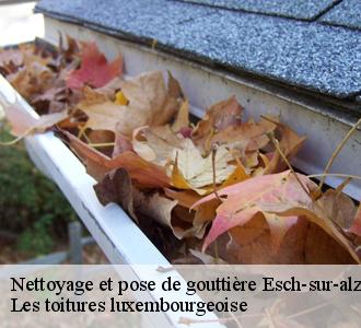 Devis pose et nettoyage gouttière gratuit à Esch-sur-alzette 