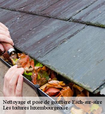 Pourquoi faire nettoyer votre gouttière à Esch-sur-sûre ?