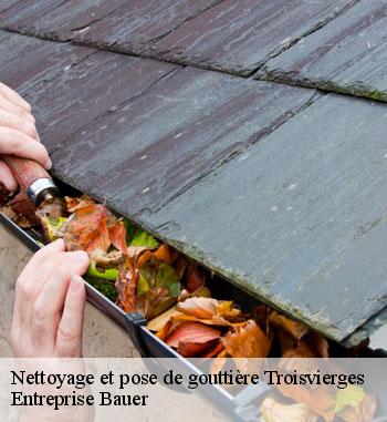 Nettoyage et changement gouttière à Troisvierges : Entreprise Bauer la référence