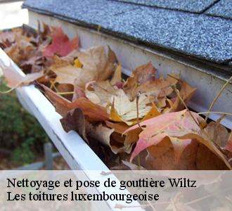 Changement gouttières avec Les toitures luxembourgeoise 