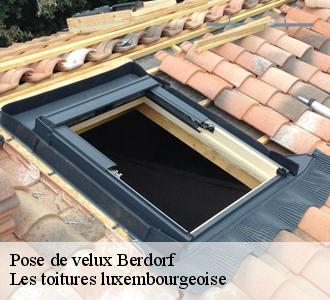 Artisan pose velux Les toitures luxembourgeoise pour illuminer votre pièce