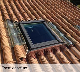 Artisan pose velux Les toitures luxembourgeoise  : des interventions satisfaisantes
