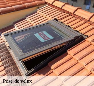 Artisan Les toitures luxembourgeoise  pour tous vos travaux pose velux à Betzdorf