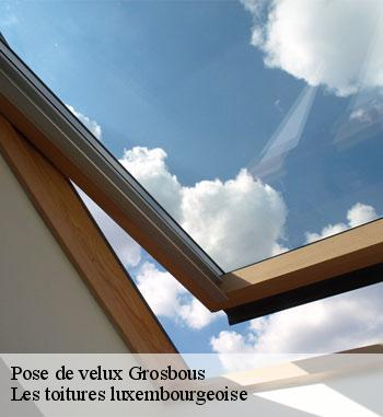 Le savoir-faire de couvreur zingueur à Grosbous à votre profit pour la pose de vos velux dans le