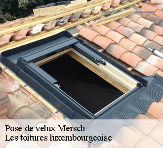 Pose de velux par couvreur Les toitures luxembourgeoise  à Mersch
