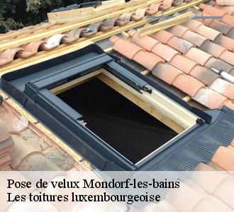 Pose velux à Mondorf-les-bains : des techniques innovantes 