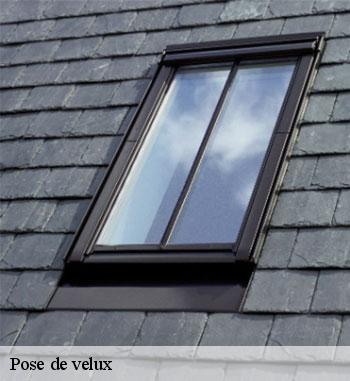 La pose d’un Velux adapté à l’architecture de votre toiture à Niederanven 