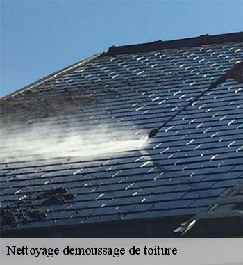 Nettoyage toiture en chaume à Bettembourg