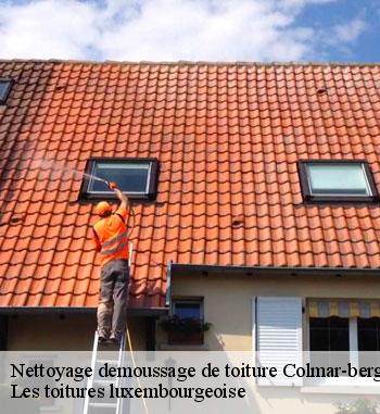 Découvrir comment avoir un professionnel de nettoyage de toiture à Colmar-berg