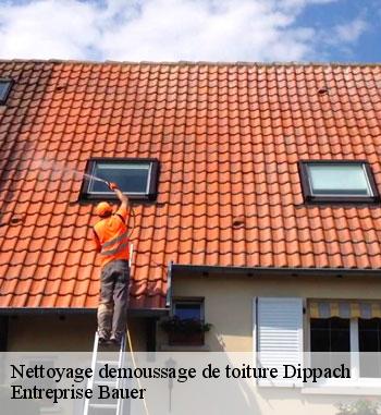 Un expert couvreur nettoyage et démoussage de toiture à Dippach