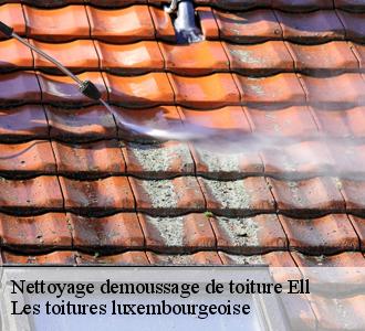 Entreprise de nettoyage toiture