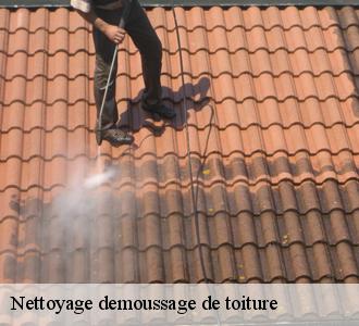 Nettoyage toiture par Les toitures luxembourgeoise
