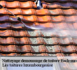 Entreprise de nettoyage toiture