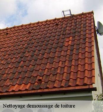 Nettoyage toiture en chaume à Flaxweiler