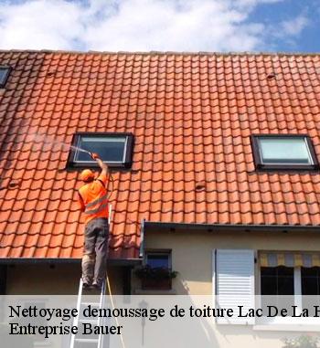 Nettoyage toiture pas cher à Lac De La Haute-sûre