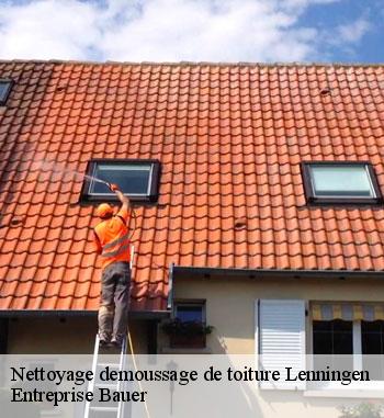 Un expert couvreur nettoyage et démoussage de toiture à Lenningen