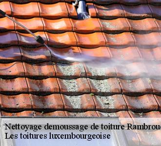 Un expert couvreur nettoyage et démoussage de toiture à Rambrouch