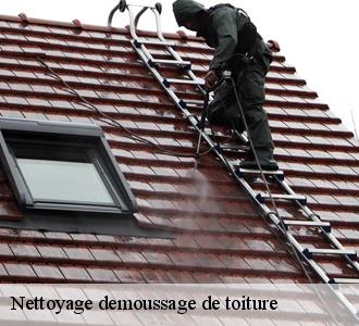 Découvrir comment avoir un professionnel de nettoyage de toiture à Schifflange