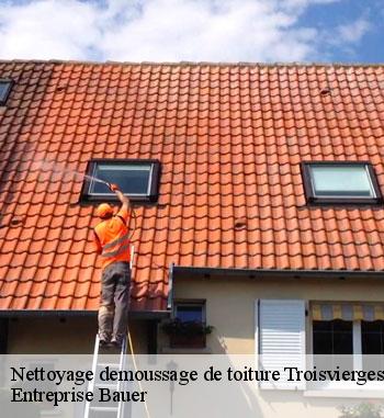 Nettoyage de toiture à Troisvierges