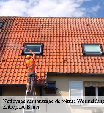 Nettoyage toiture en chaume à Wormeldange
