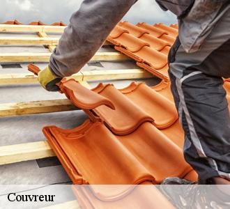 Travaux de réparation toiture dans le