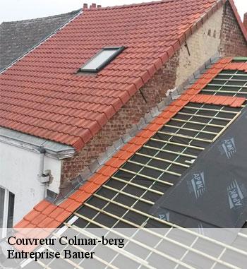 Rénovation toiture à Colmar-berg