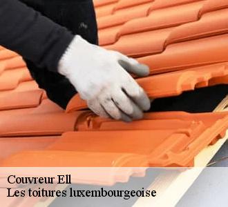 Entretien toiture à Ell