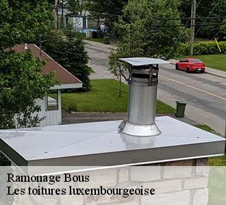 : découvrez les réglementations locales sur le ramonage