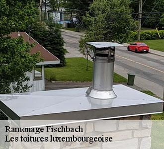 Les toitures luxembourgeoise  vous conseille sur l'entretien optimal de vos conduits