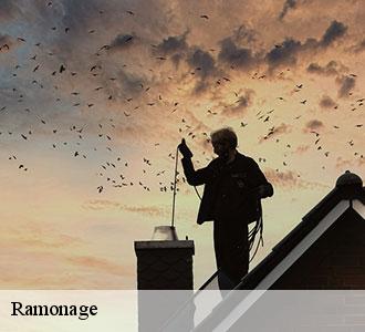 Comment choisir le meilleur service de ramonage à Frisange