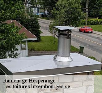 Tout savoir sur le ramonage des poêles à bois à Hesperange